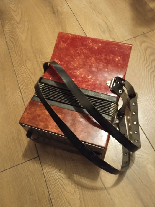 Akordeon dla dziecka