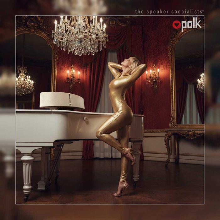 Премиальная аудиосистема Polk Audio Woodbourne