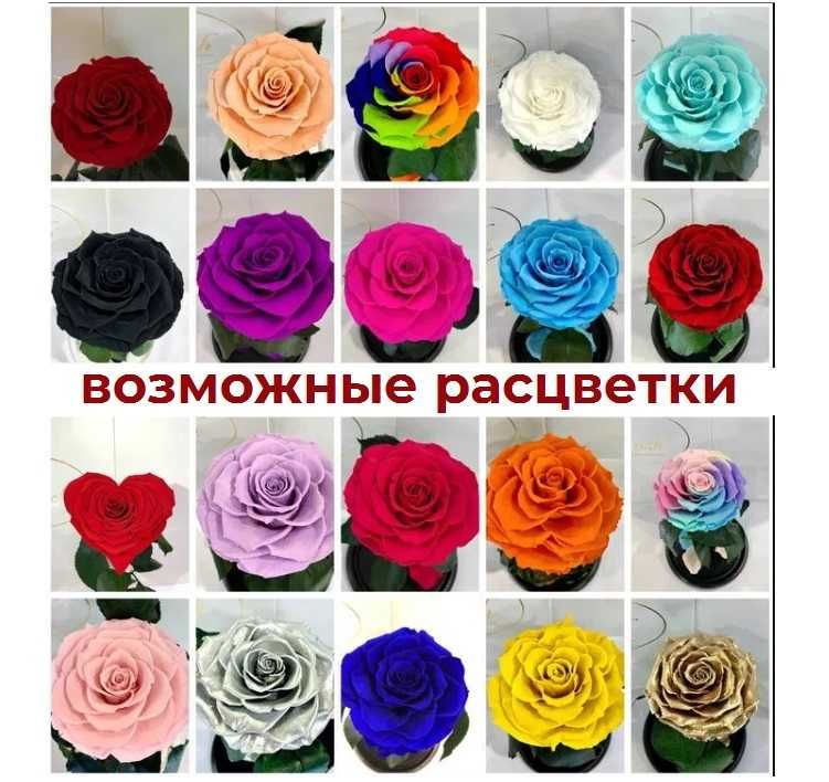 Подарок девушке -Живая Роза в КОЛБЕ - не сохнет 5 лет - Троянда