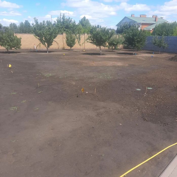 Озеленення території, укладання  рулонного газону Дніпро