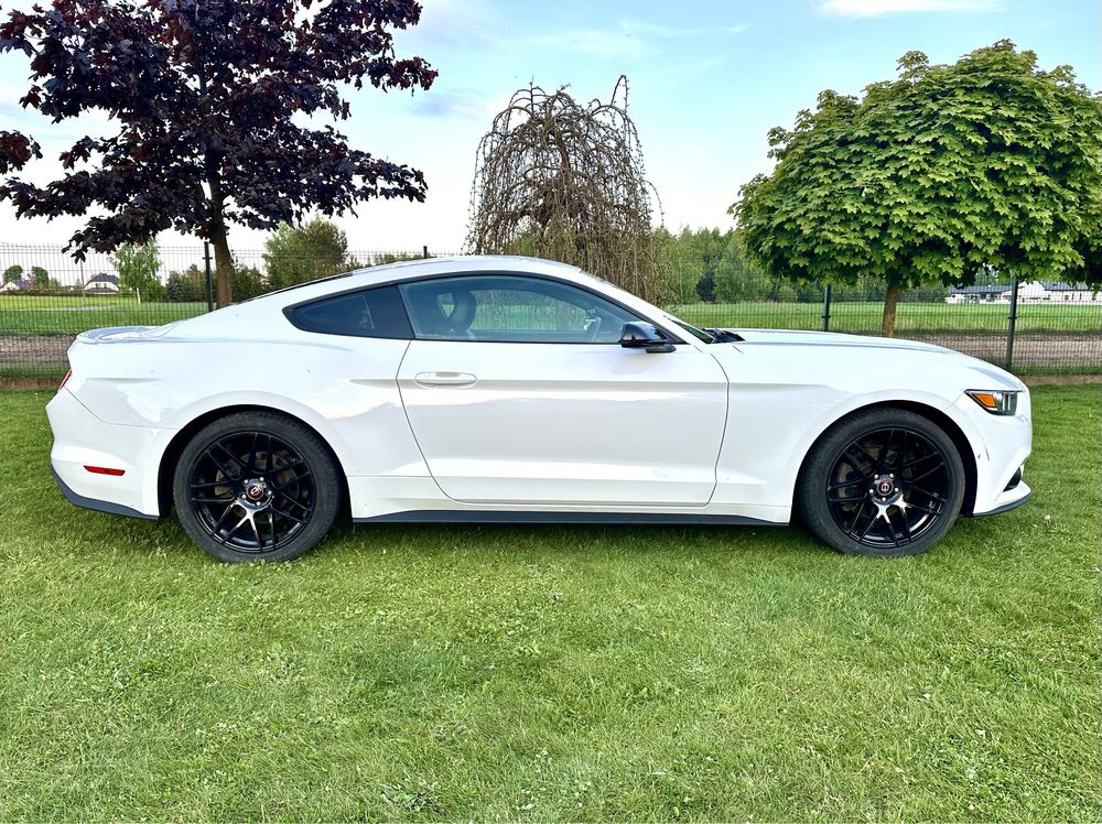 Wypozyczalnia aut Promocja wynajem Mustang Coupe okazja slub wesele