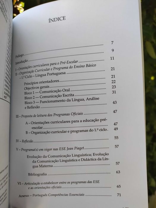 Evolução da comunicação linguística I