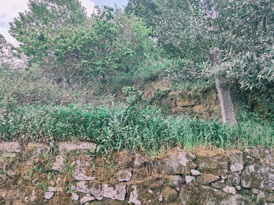 Terreno com 2 ruinas