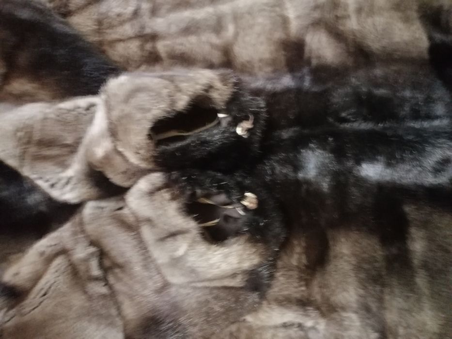 Шуба норкова S-M