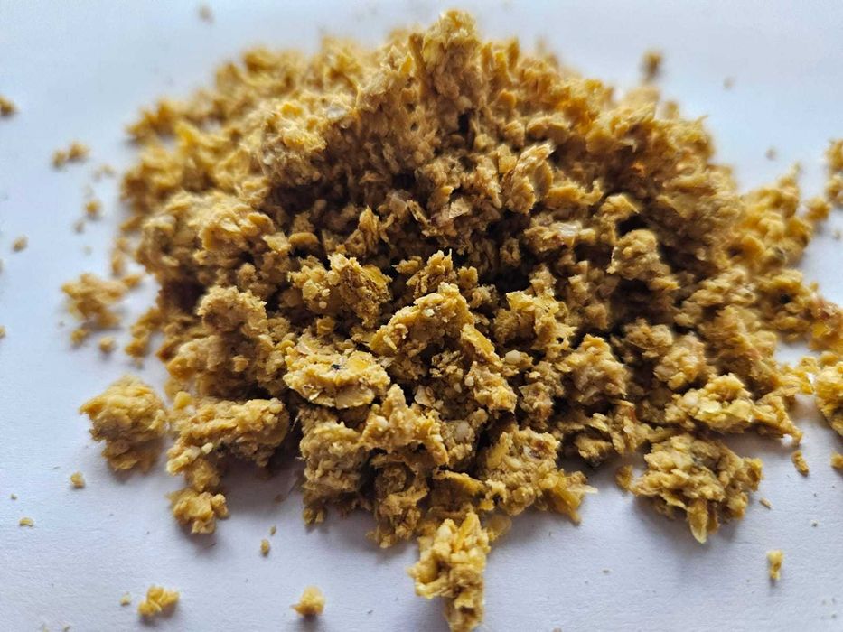 Świeże młóto kukurydziane - doskonała pasza, dostawa na miejsce