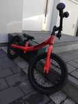 Rowerek biegowy Ridgeback Scoot