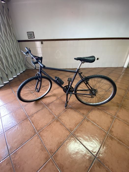 Bicicleta adulto