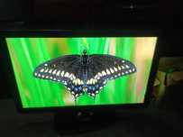 Telewizor Philips 32 cale plus pilot