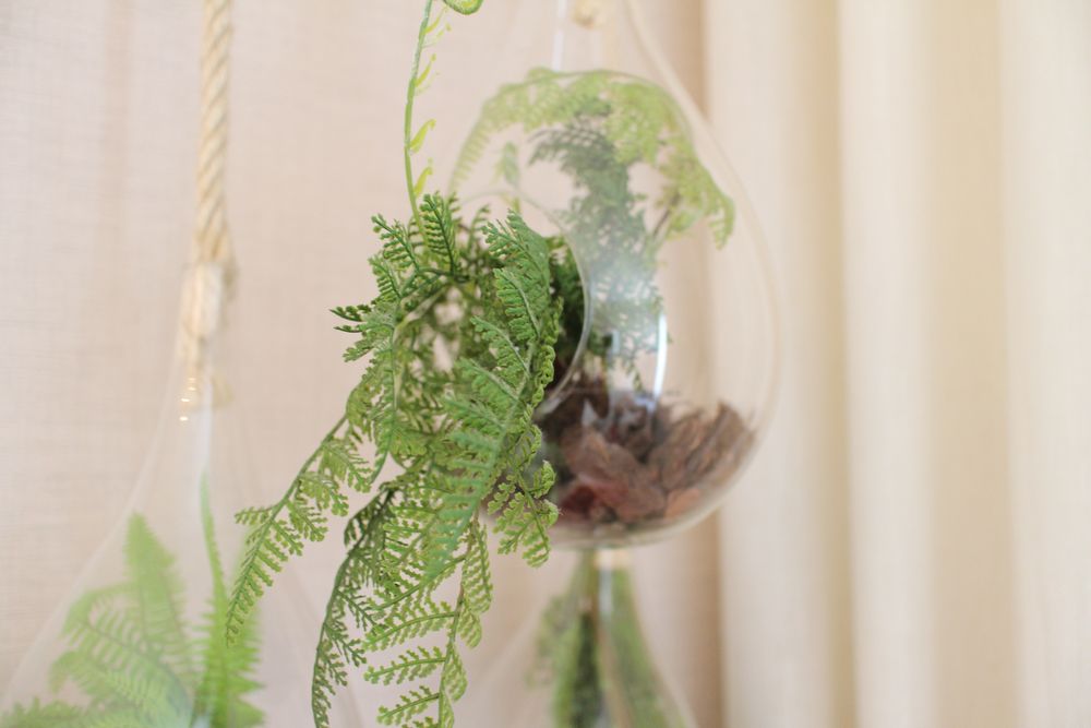 Plantas suspensas decorativas