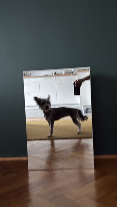 Szafka wisząca z lustrem