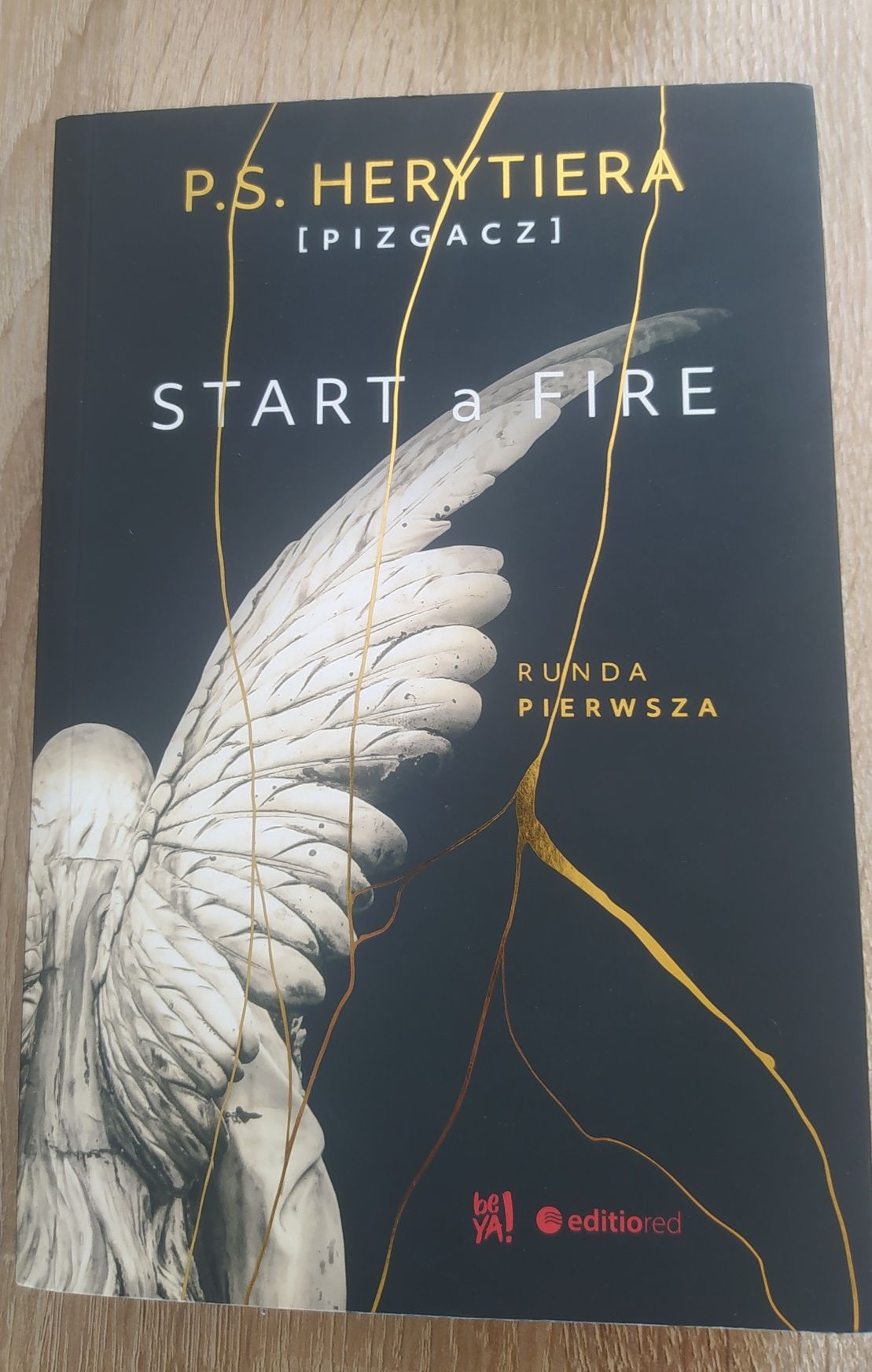 Książka "Start a Fire"