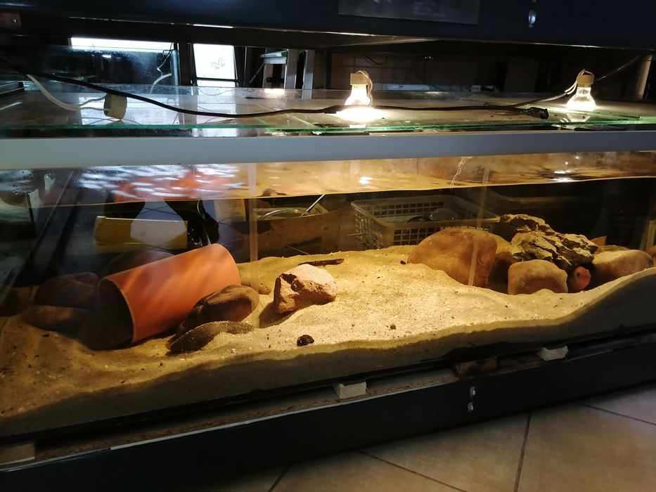 Akwaria 120x50x40 różne