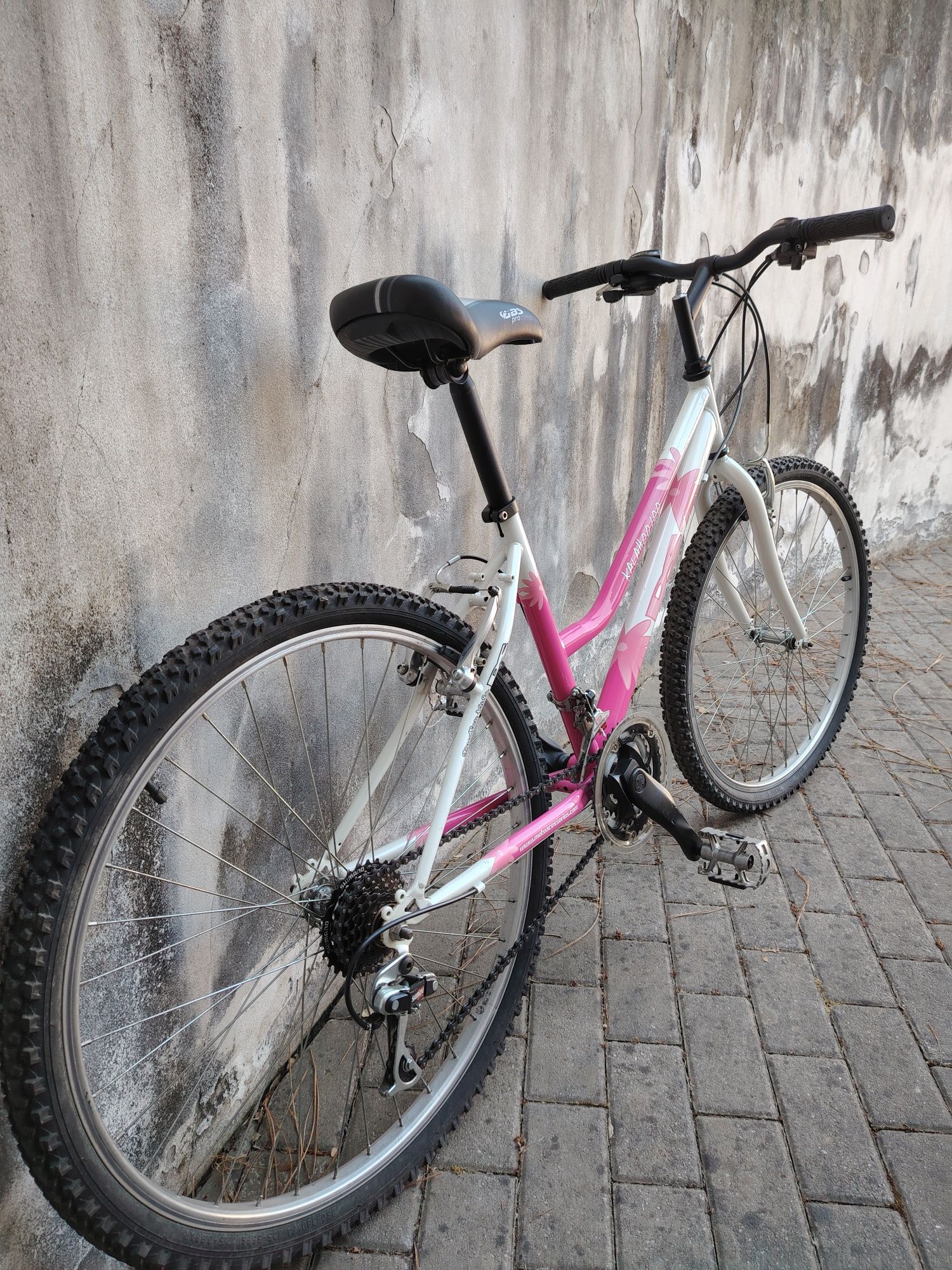 Bicicleta DS roda 26