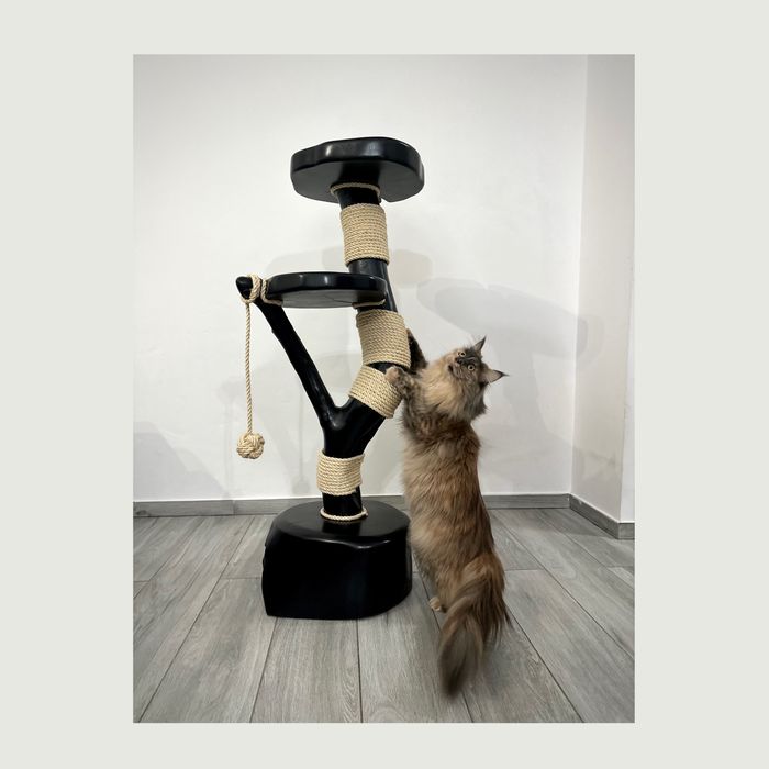 Naturalny Drapak Drapak Z Drewna Lina Sizalowa Slupek Do Drapania