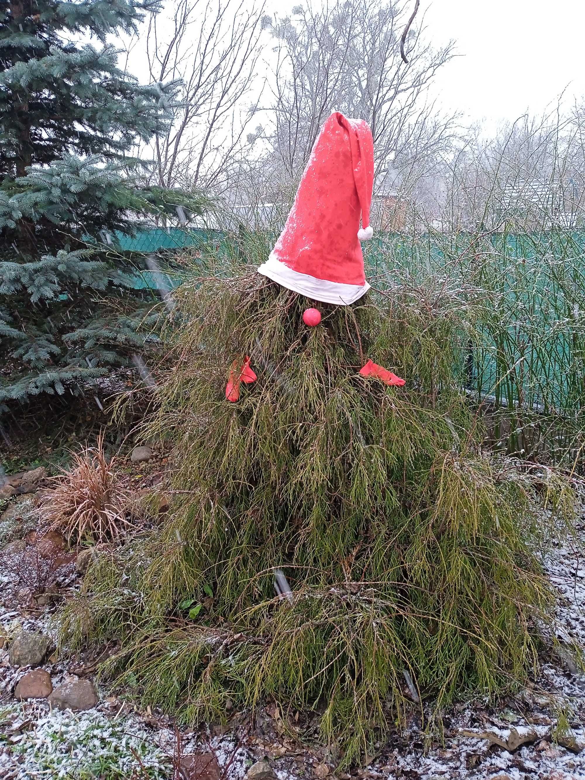 Noclegi nad zalewem Jeziorsko,50 m od lini brzegowej.