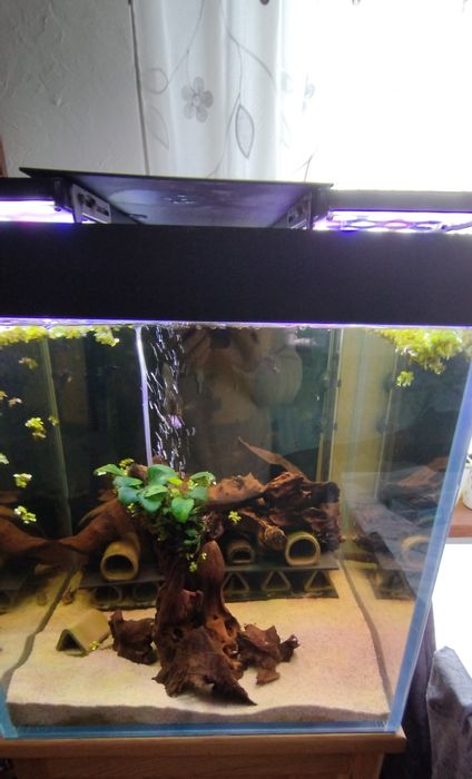 Sprzedam akwarium z oświetleniem