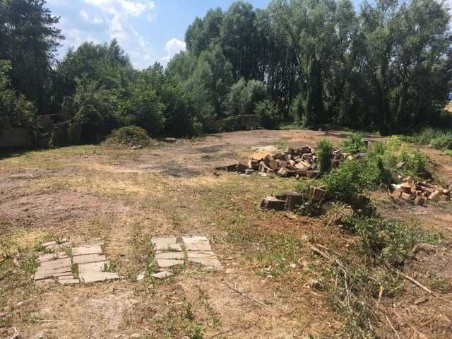 Karczowanie czyszczenie i rekultywacja działek mulczer leśny, wycinka