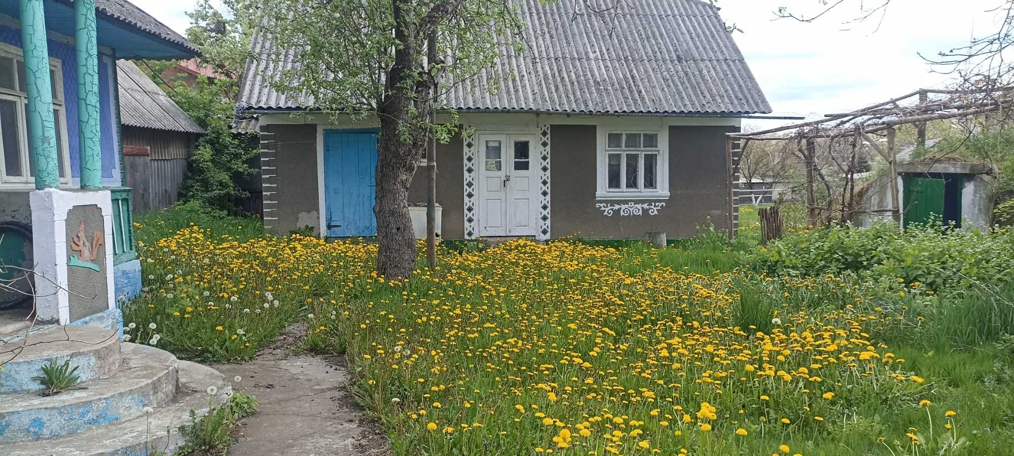 Продам будинок в центрі села Ржавинці, 35 км від Чернівців