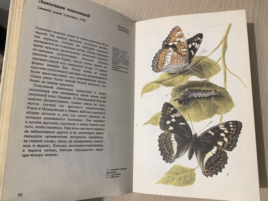 Книга «Бабочки». Артия