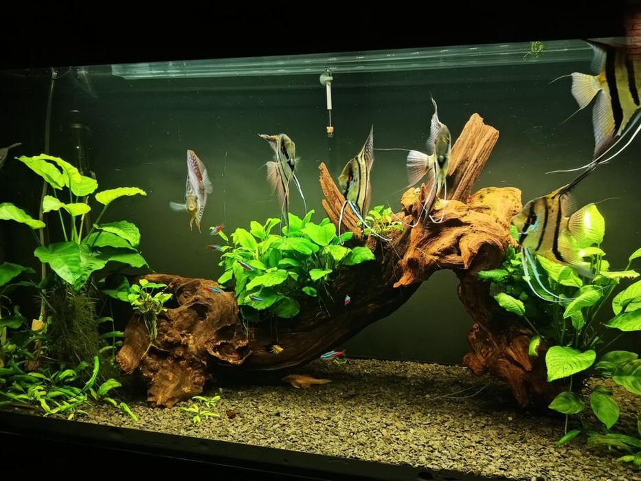 Akwarium Aquael glossy 120 260l