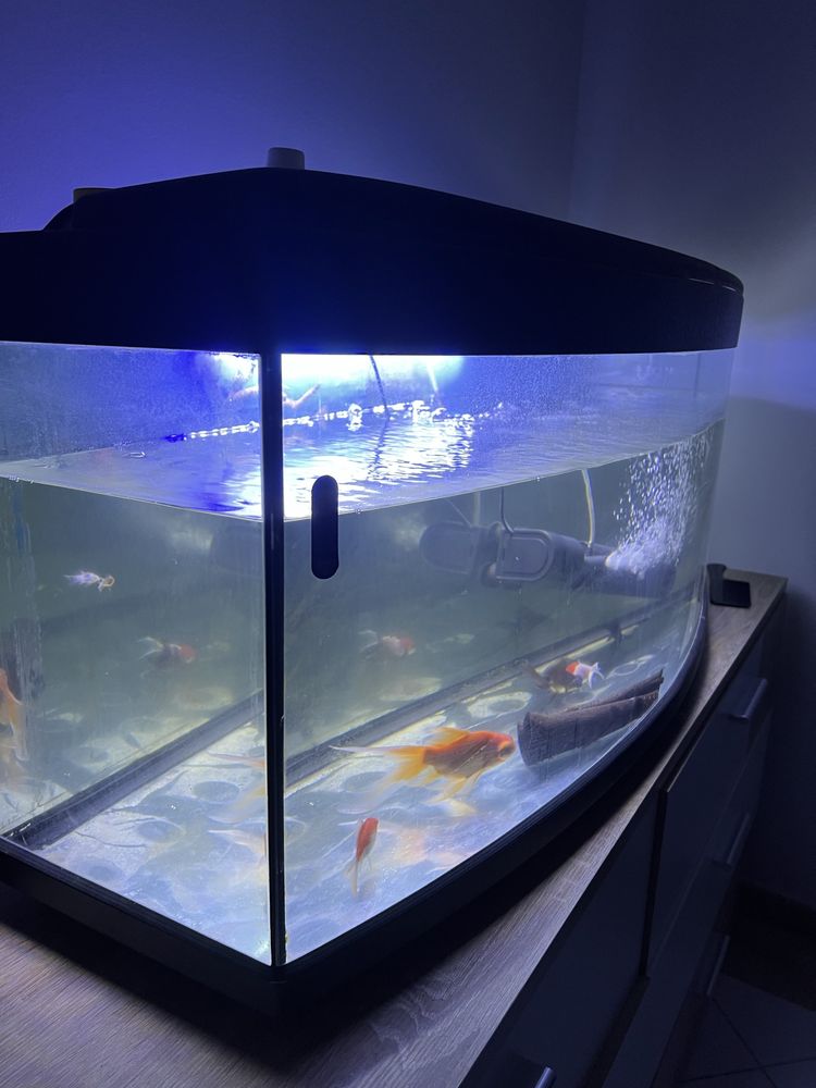 Aquario 200 litros