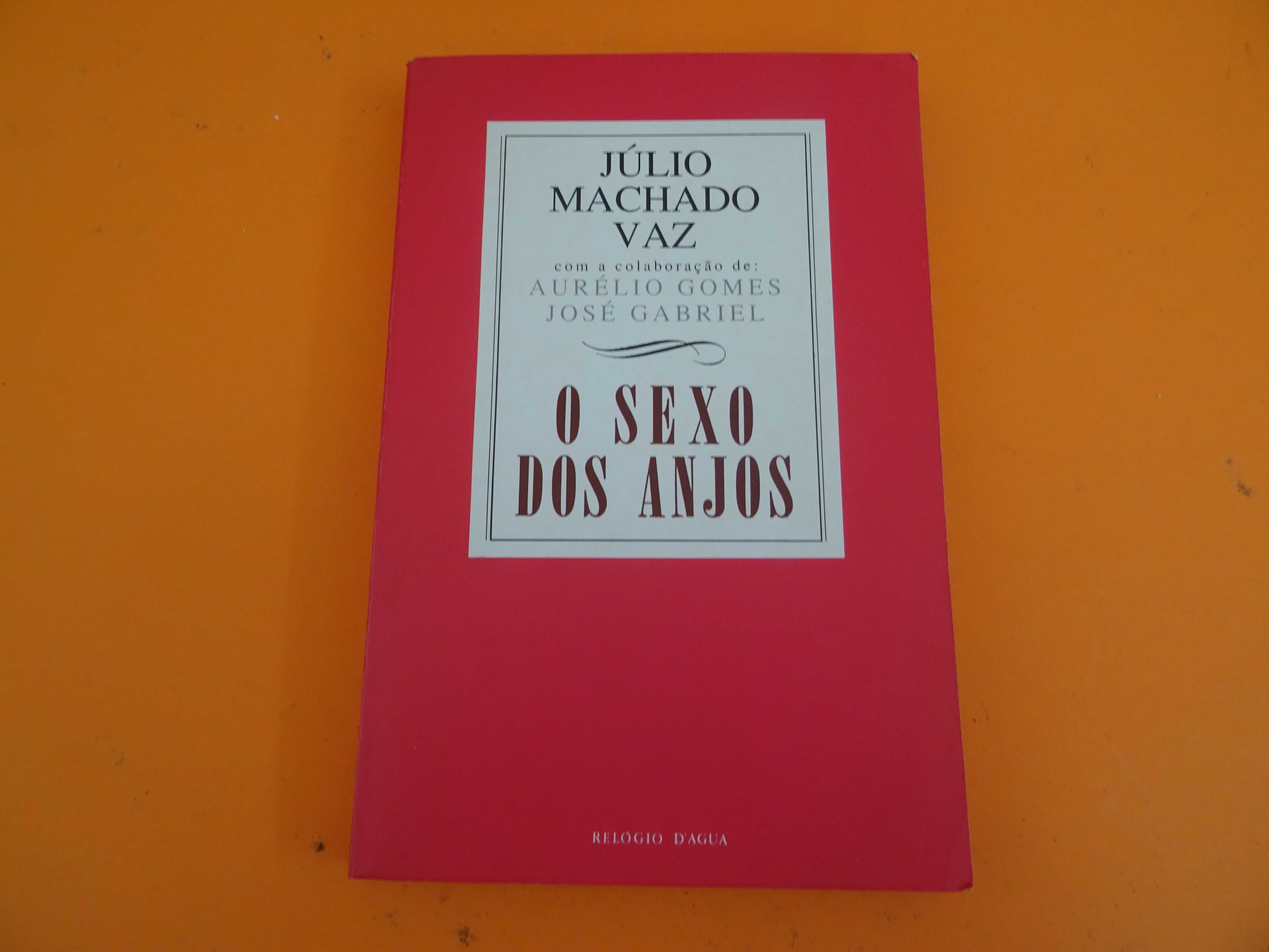 O sexo dos anjos - Júlio Machado Vaz