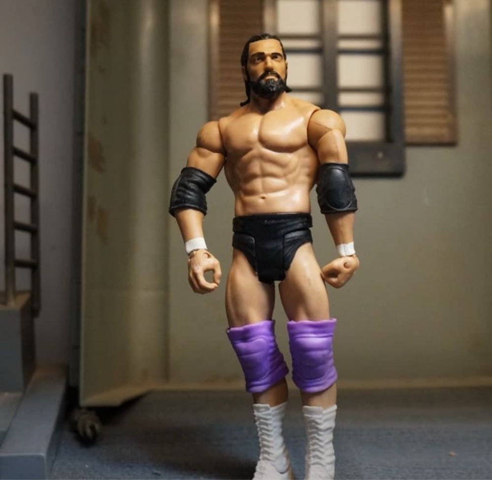 Wwe Seth Rollins