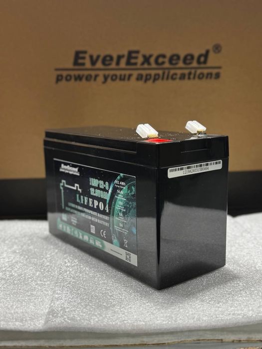 LiFePO4 EverExceed LDP 12-8