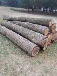 Drewno tartaczne dębowe