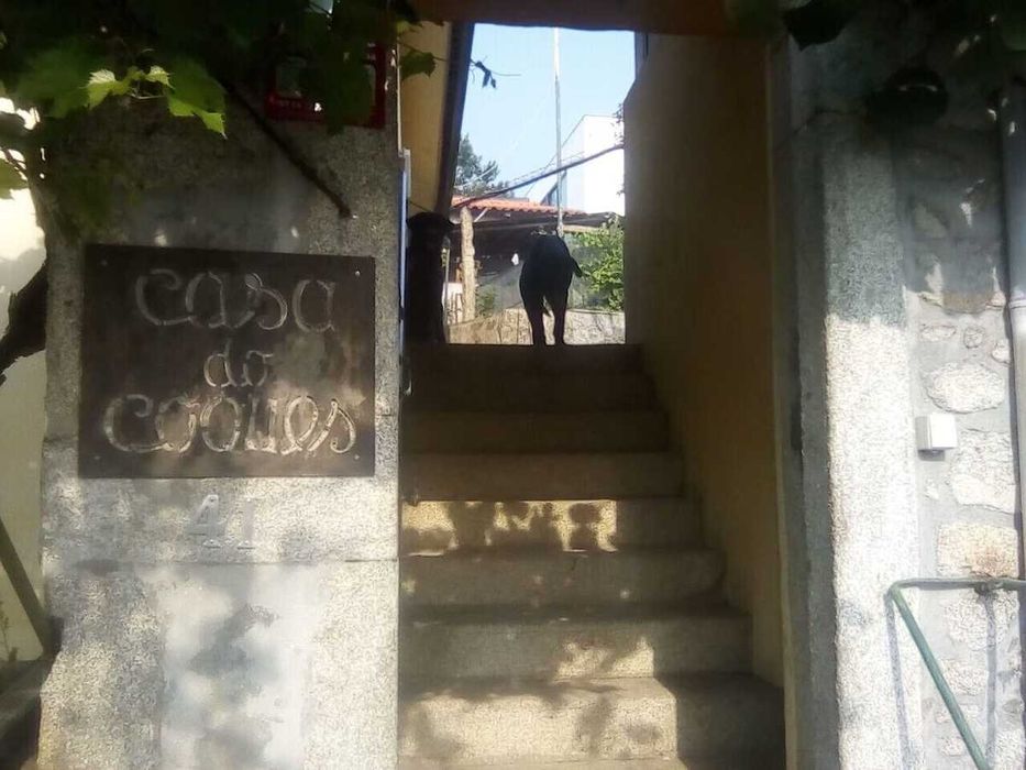 T3 Mobilado, com terraço e zona de lazer