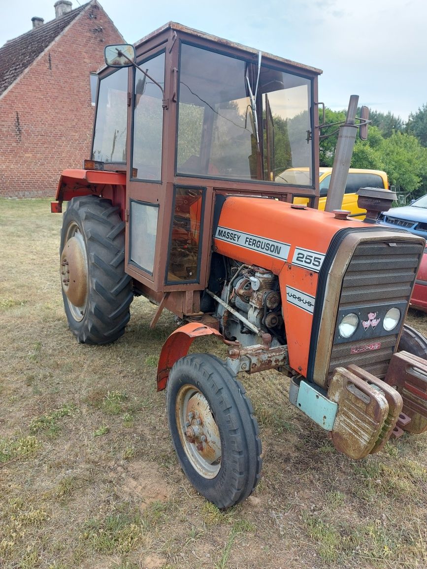 Ursus ferguson 255
