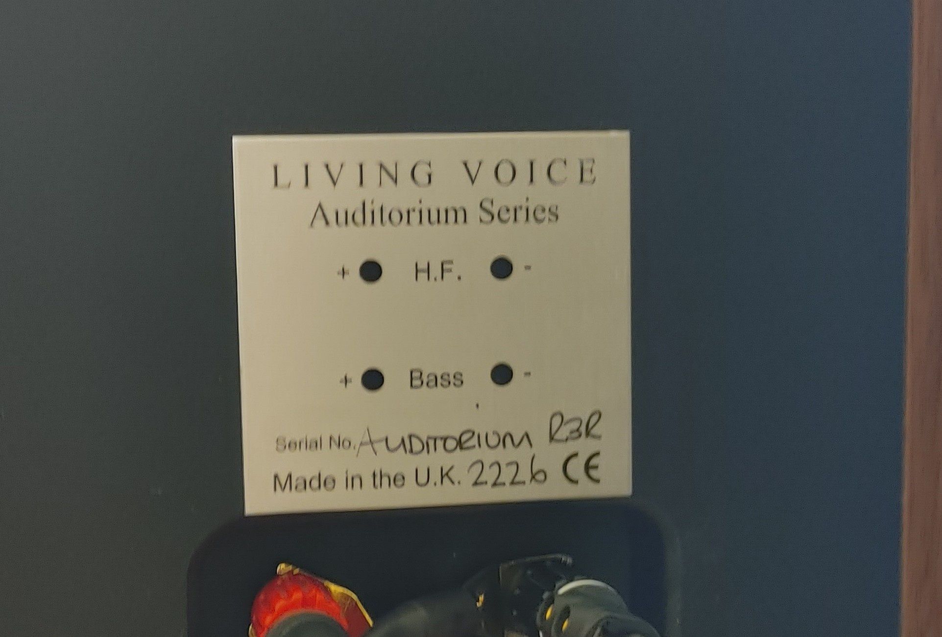 Living Voice Auditorium R3R ( Lampa, klasa A)
