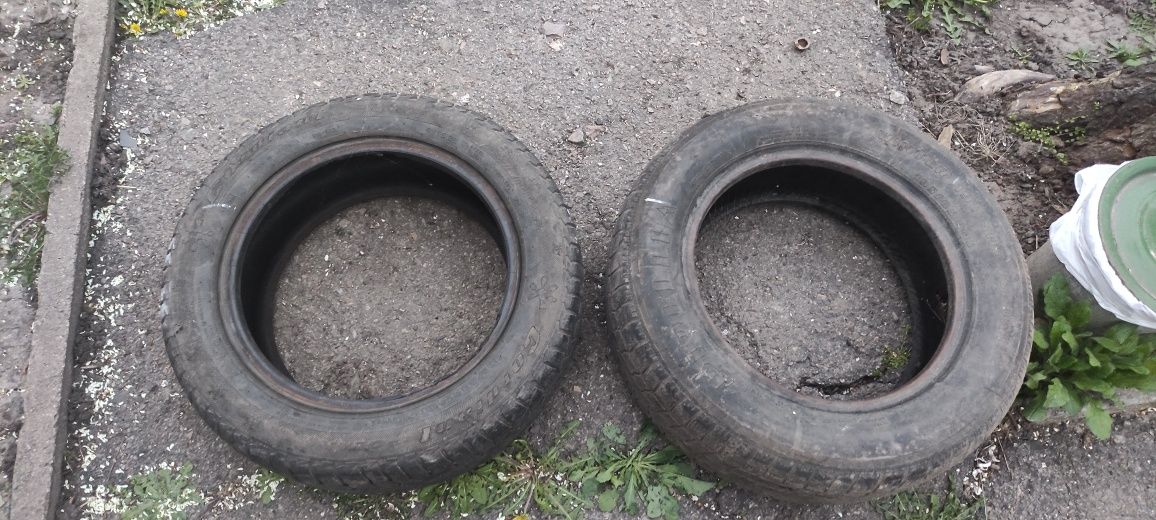 Продам Скаты 195/65  r15