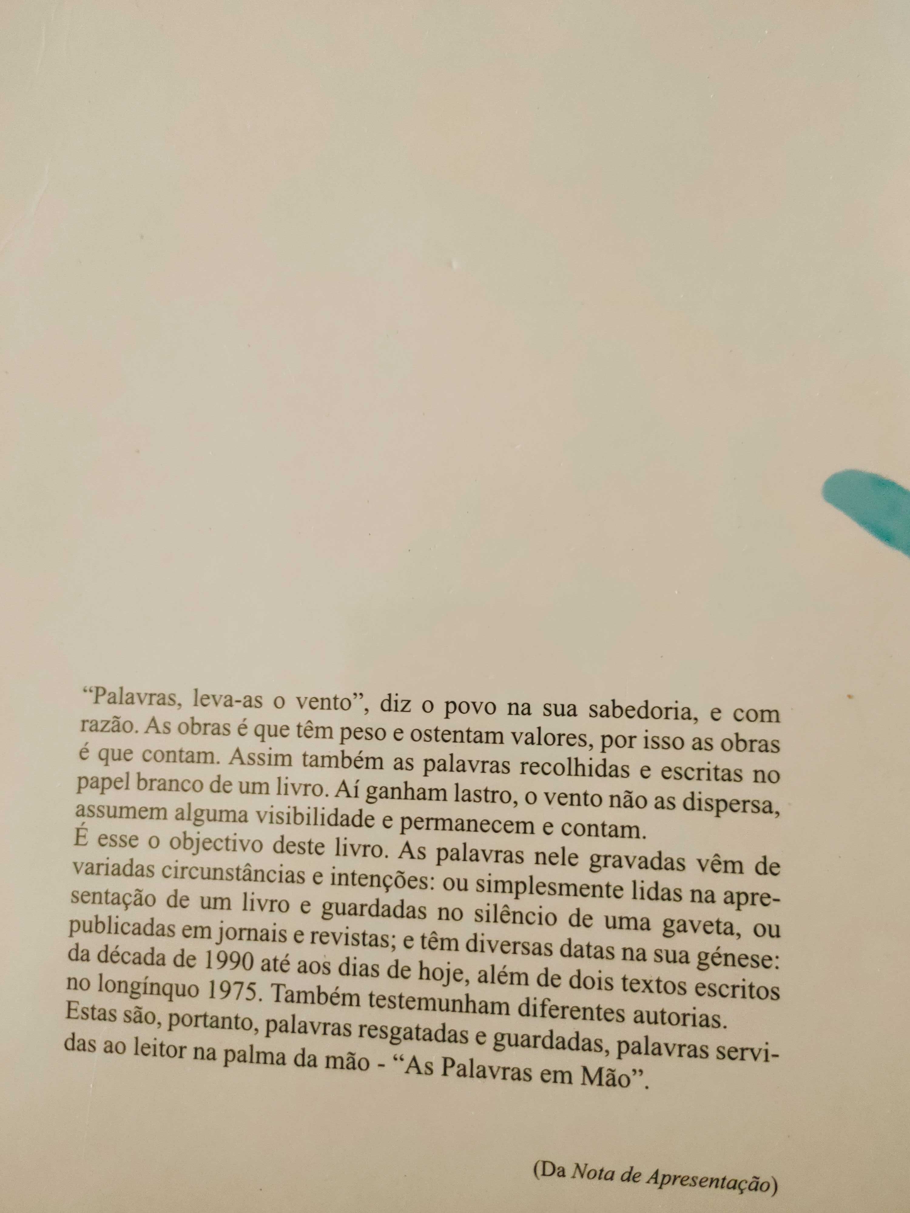 As palavras em mão de João Gamboa