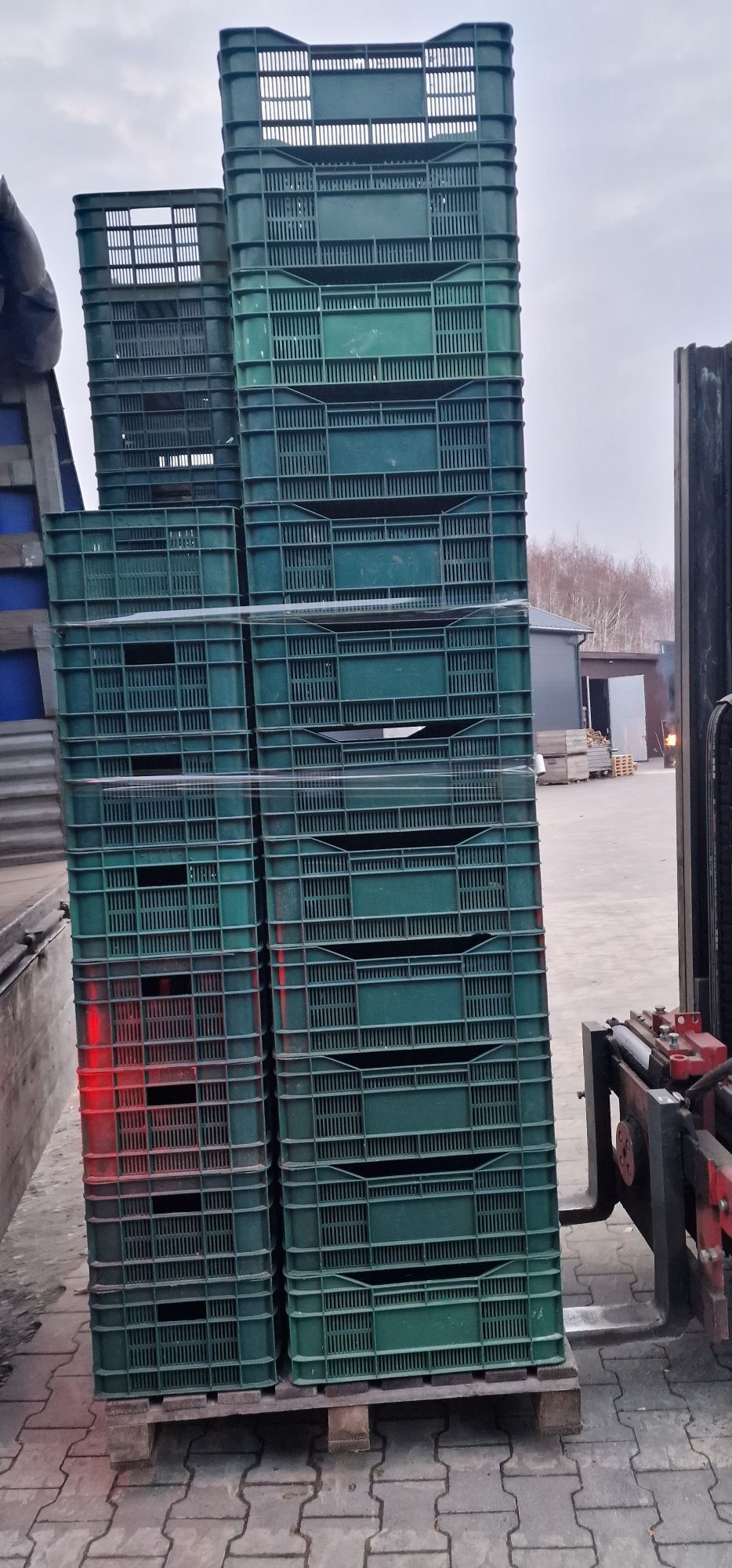 Skrzynka plastikowa 20 kg