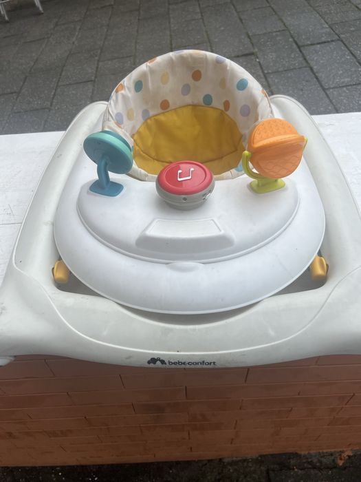 Aranha oara bebe a funcionar