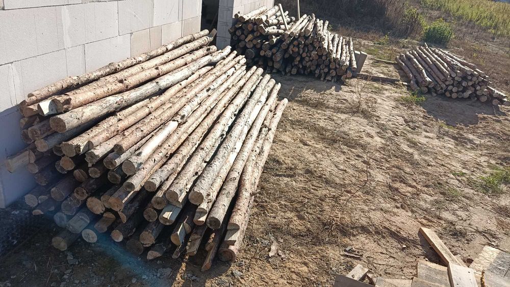 Stemple budowlane drewniane już ZACIĘTE na zamek