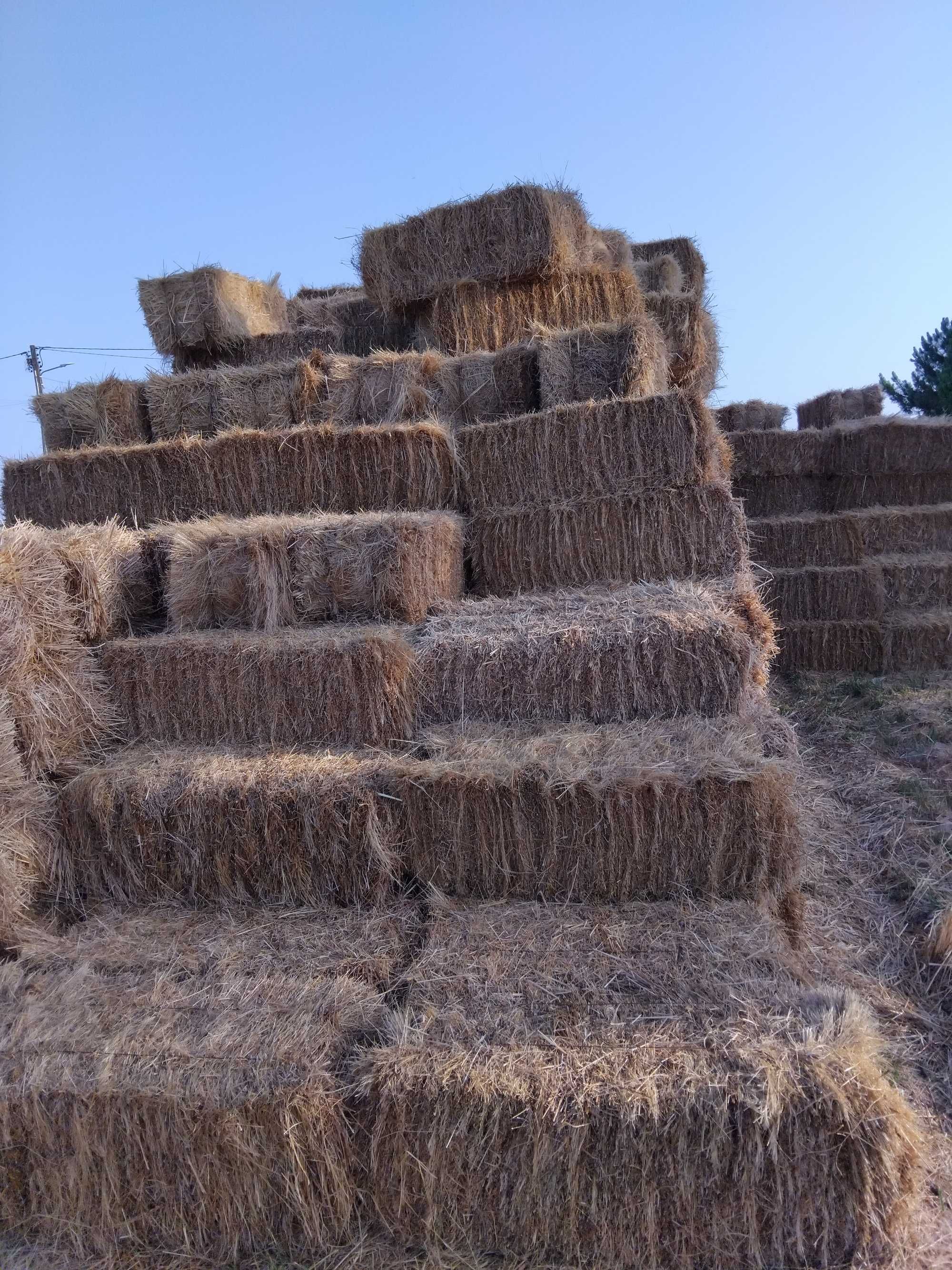 Fardos de palha.