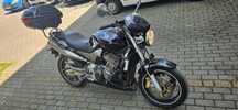 Honda CB Hornet CB 900 2005r POLIFT kufer pług crashpad