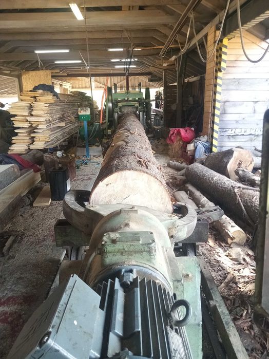 Trak pionowy GKT60 hydraulika