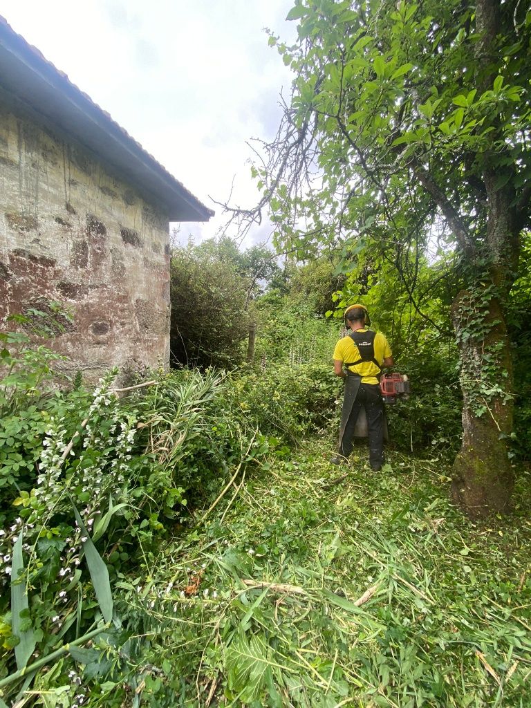 Serviço de jardinagem limpeza terrenos