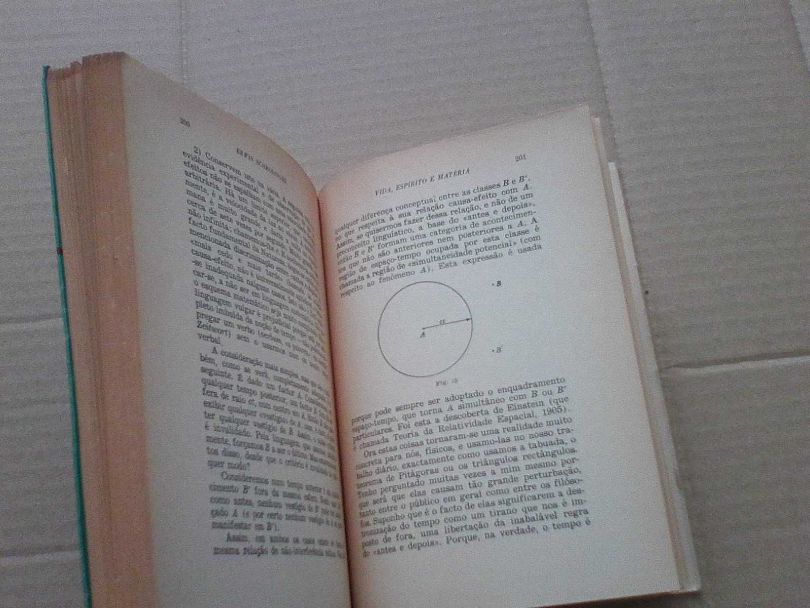 Vida, espírito e matéria
