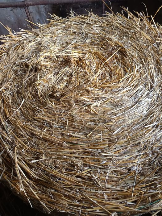 Sprzedam sianokiszonki i słomę