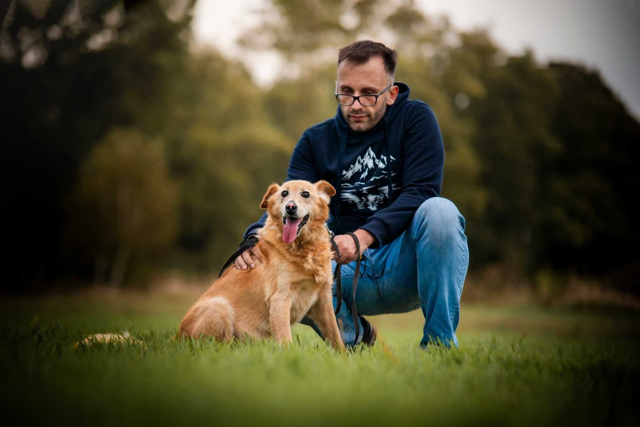 Nosek – uroczy psiak z historią, który czeka na swoje miejsce w domu