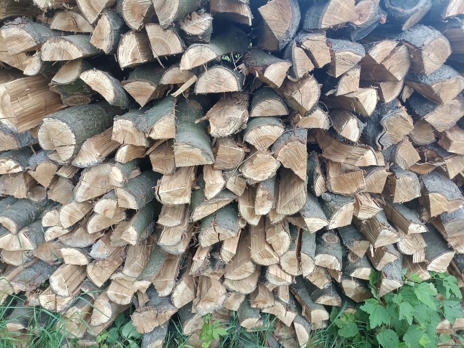 Drewno do wędzenia owocowe wedzarnicze czereśnia workowane sezonowane