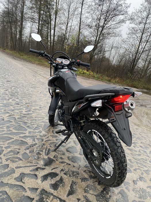 Продам лонкин прус