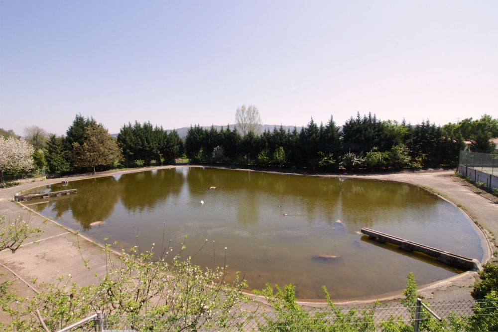 Quinta em Amares