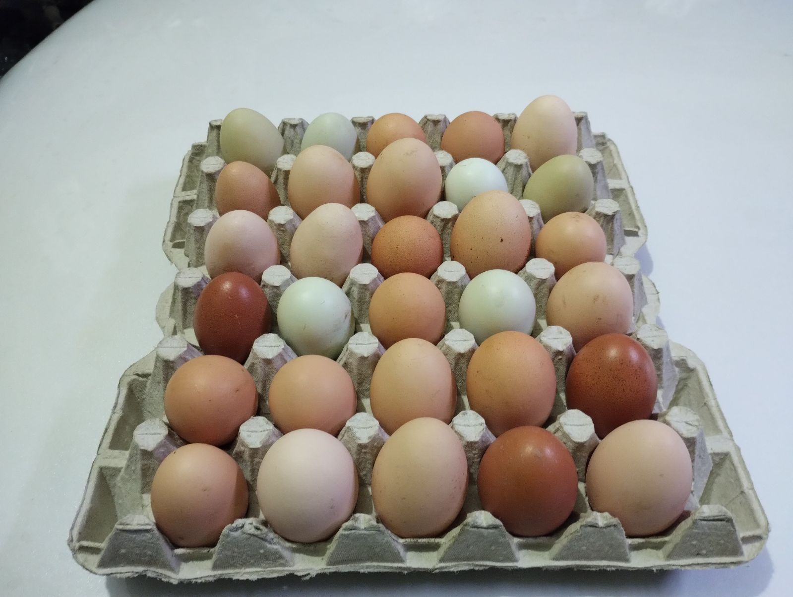 Jajko wiejskie  z chowu ekologicznego od 1zł sztuka