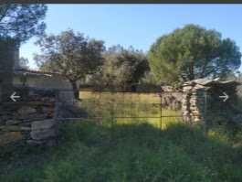 Terreno rustico isolado para venda castelo branco  (Benquerenças)