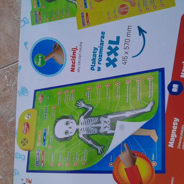 Plakaty edukacyjne z częściami ciała